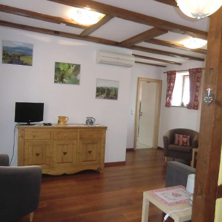 Gite Gewurztraminer Colmar Extérieur photo